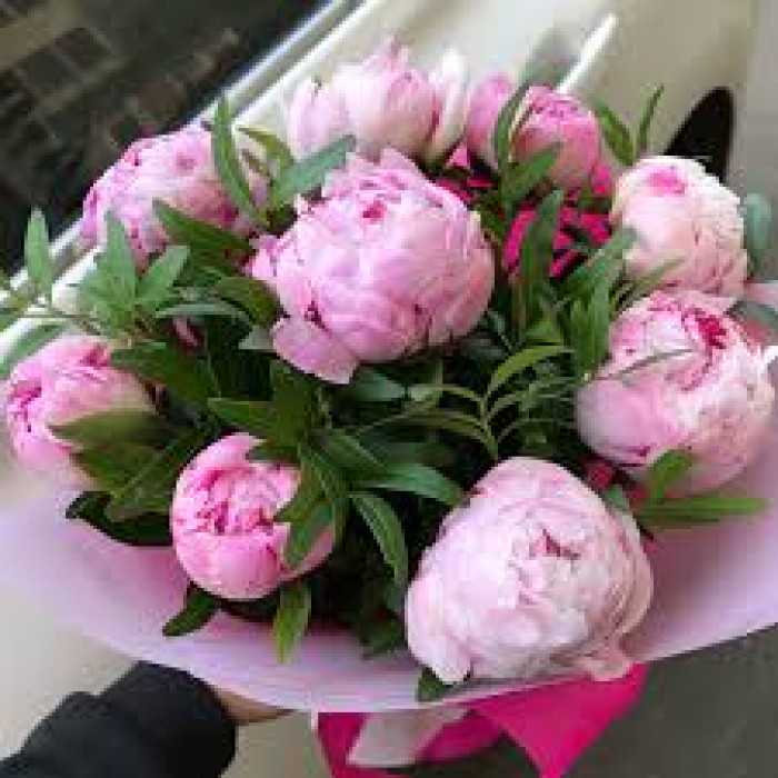 Пион древовидный в Аркалыке