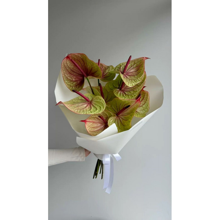 Антуриумы в Аркалыке