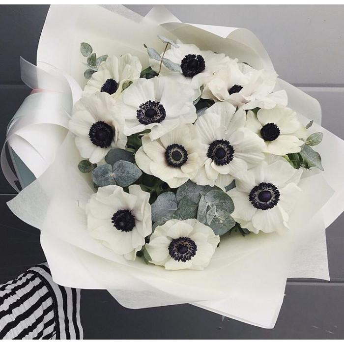 Анемоны в Аркалыке