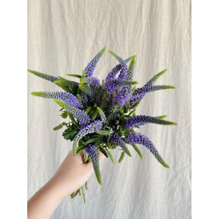 Вероника в Аркалыке