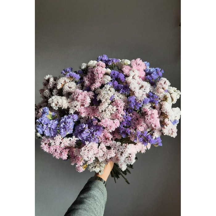 Статица (Лимониум) в Аркалыке