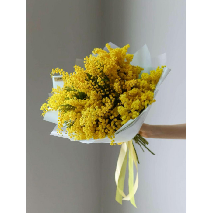 Мимоза в Аркалыке