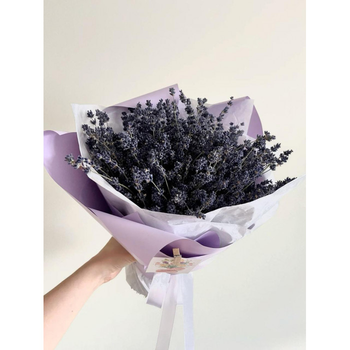 Лаванда в Аркалыке