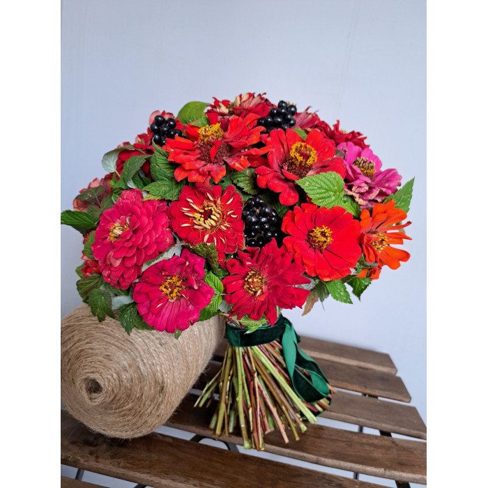 Циния в Аркалыке