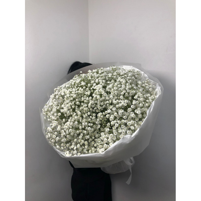 Гипсофила классическая в Аркалыке