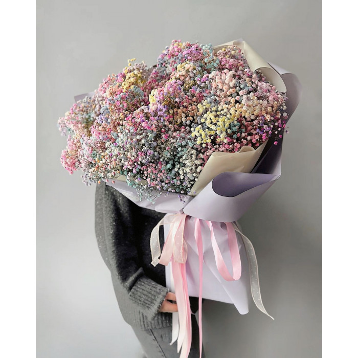 Гипсофила цветная в Аркалыке