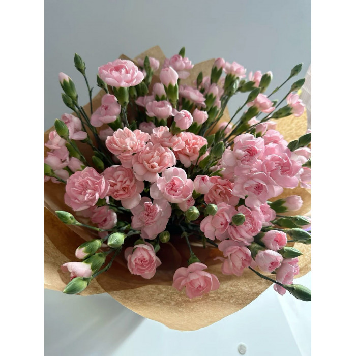 Кустовые гвоздики в Аркалыке