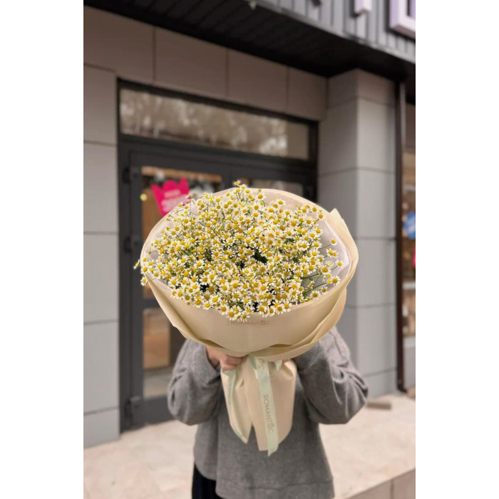 Танацетум в Аркалыке