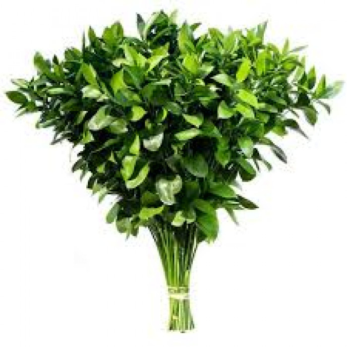 Рускус в Аркалыке