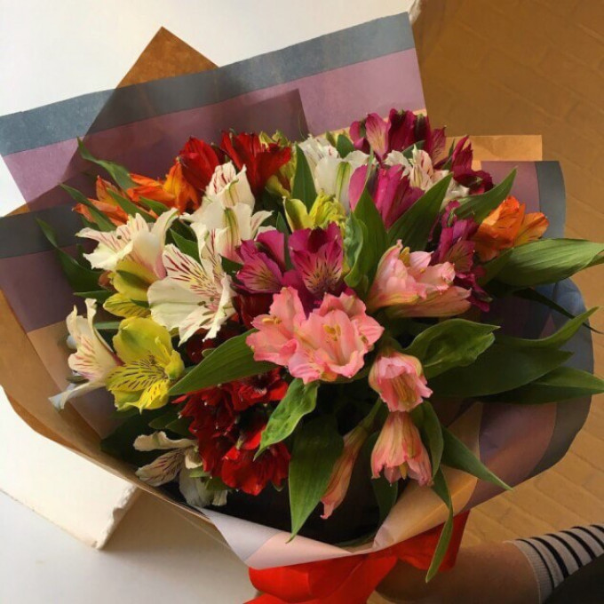 Белый мишка Белый мишка