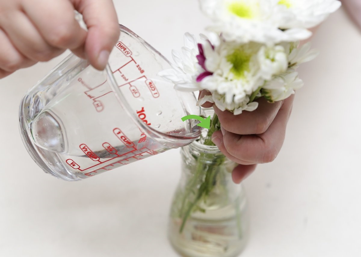 Как сохранить цветы в вазе подольше